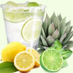 Agave Lime Hand Poured Soy (6.5oz) Candle